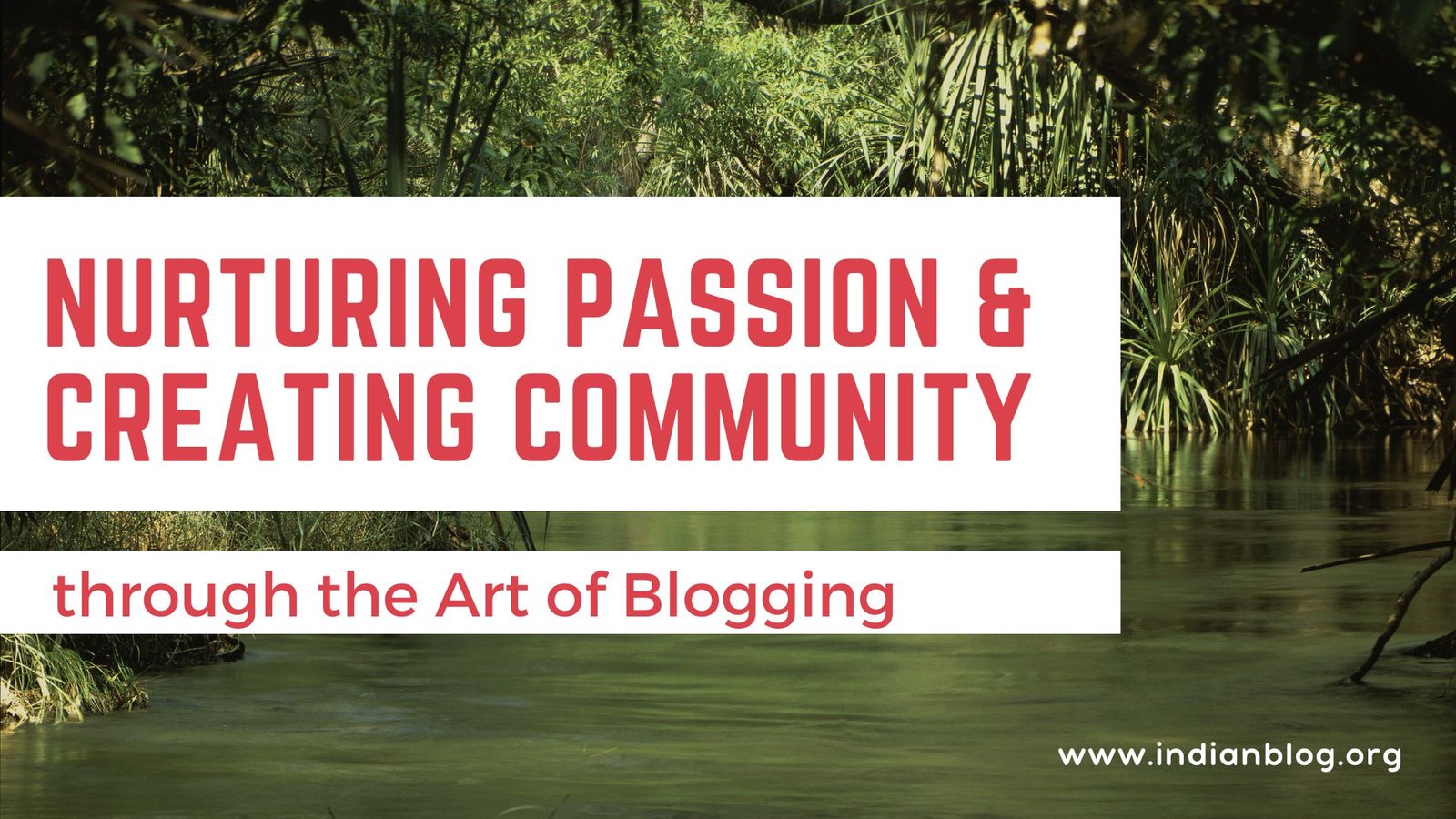You are currently viewing Nurturing Passion & Creating Community through the Art of Blogging