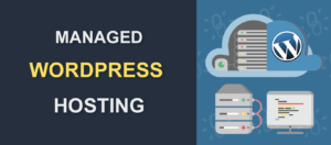 Read more about the article Managed WordPress Hosting Explained in Hinglish